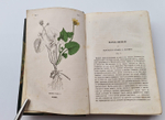 "Ботанические беседы". Б.Ауэрсвальд, Э.А.Россмесслер. 1860г.