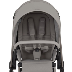 Детская коляска Anex Eli 2 в 1 без рюкзака Santal El-06