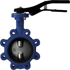 Затвор дисковый Giacomini поворотный с проушинами DN40, R59FLY004