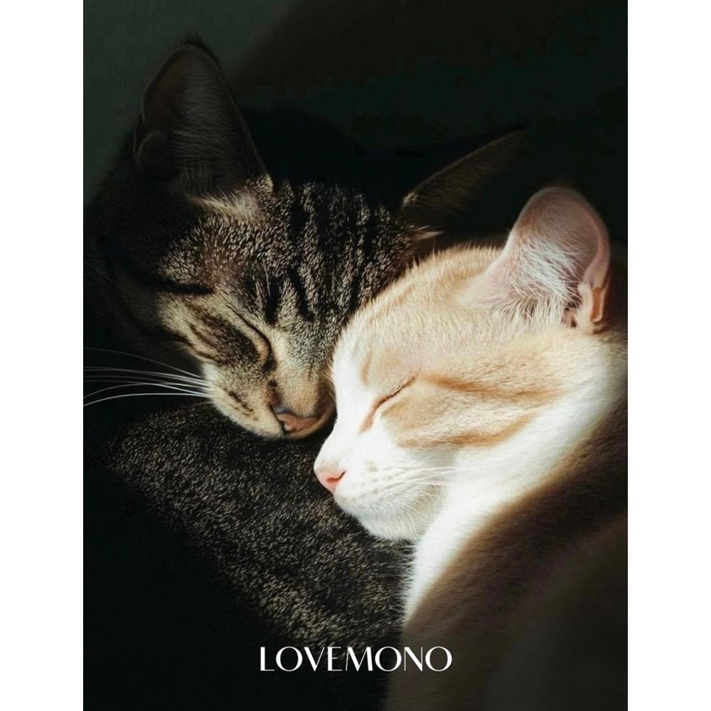 Бесплатная открытка в подарок к заказу