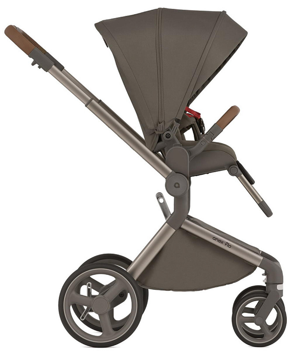 Детская коляска Anex Flo 2 в 1 Cesar