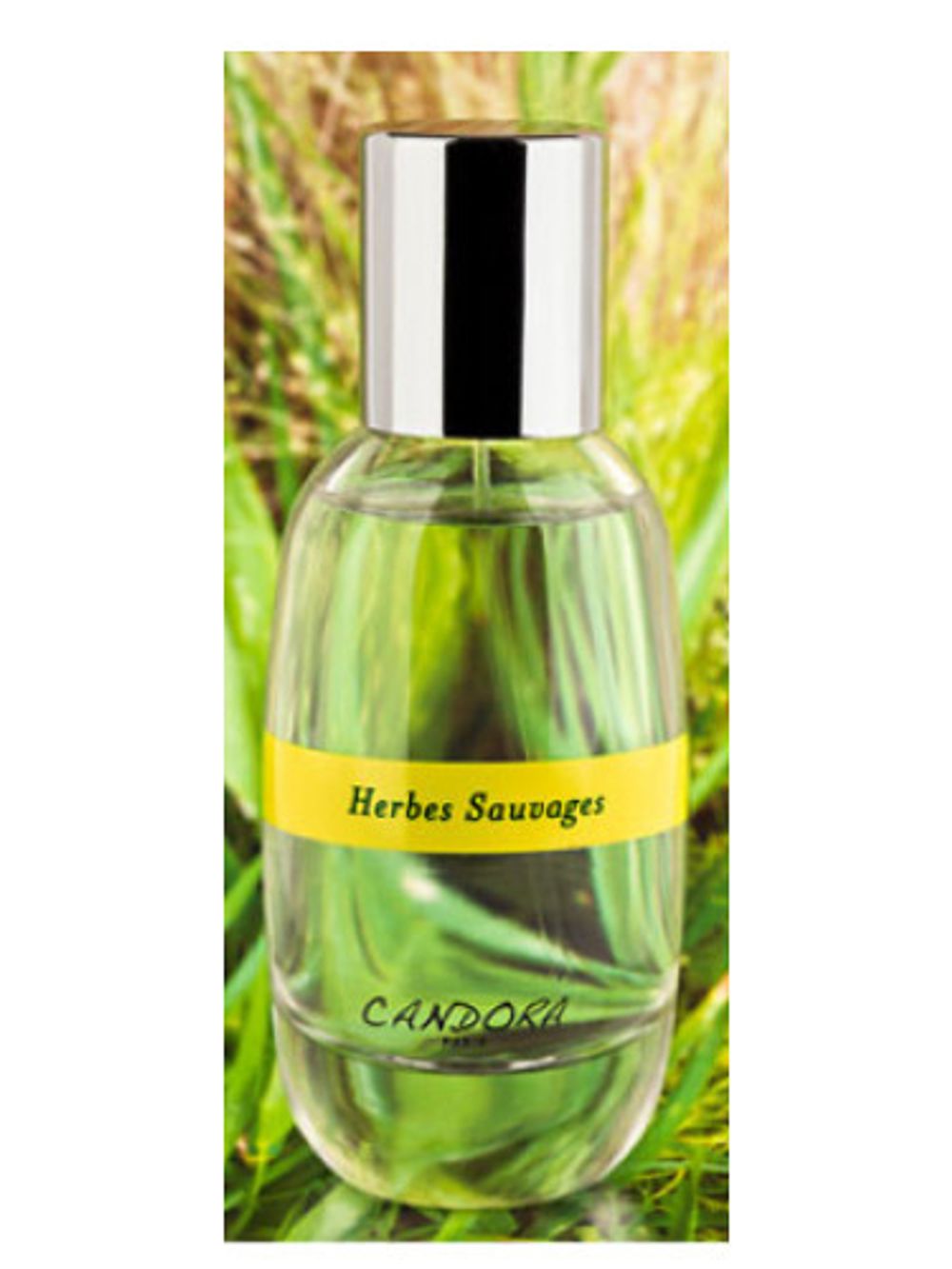 Candora Herbes Sauvage