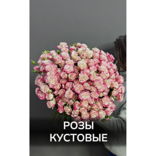 Розы кустовые