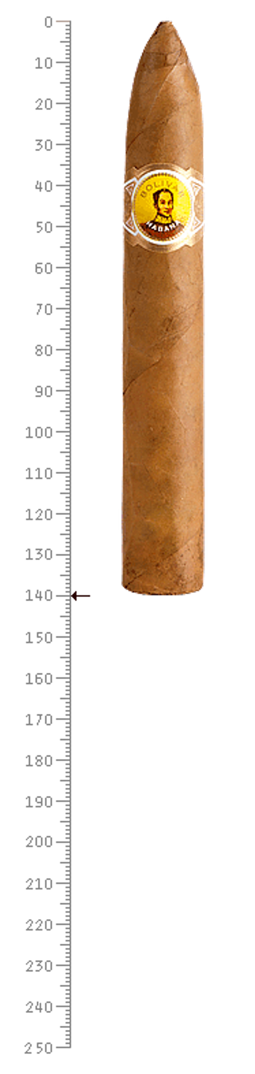 Bolivar Belicosos Finos