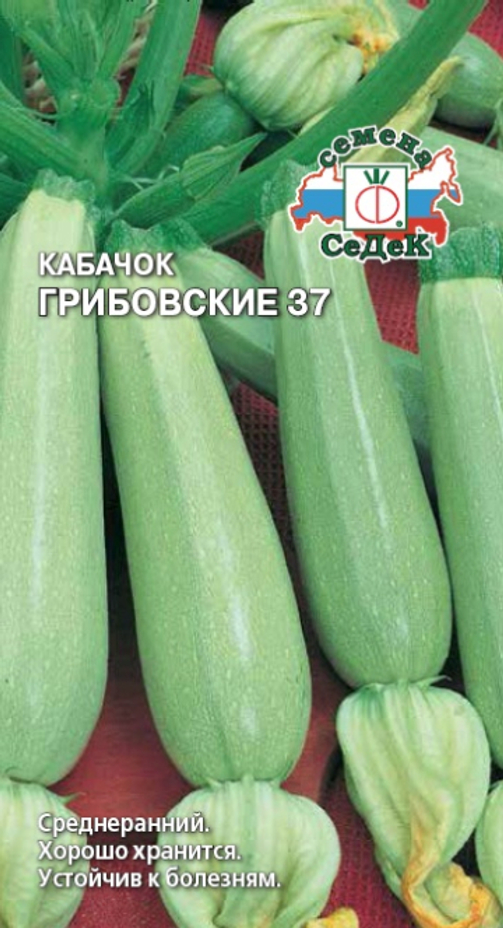 кабачок Грибовские 37