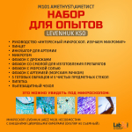 Микроскоп Levenhuk LabZZ M101 Amethyst Аметист