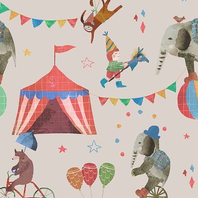 цирк мелкий масштаб