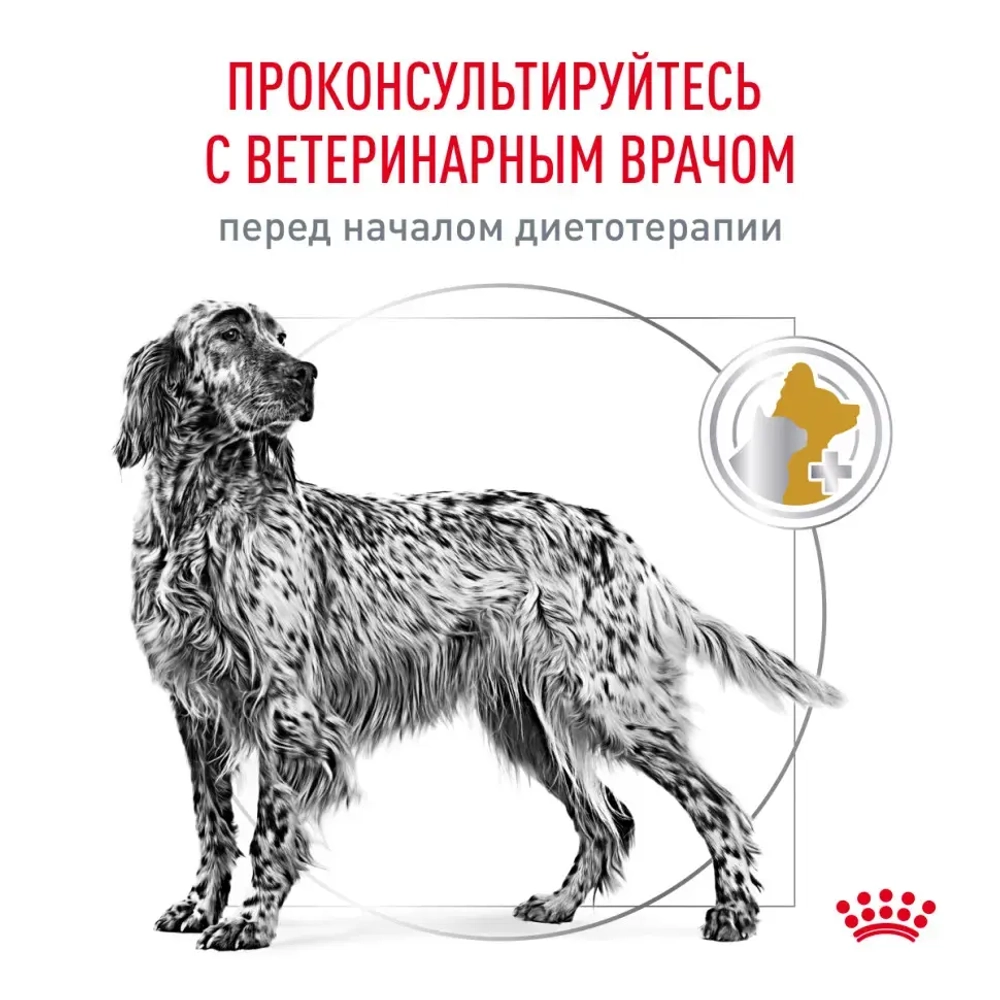 Royal canin vd уринари c/o канин 2 кг