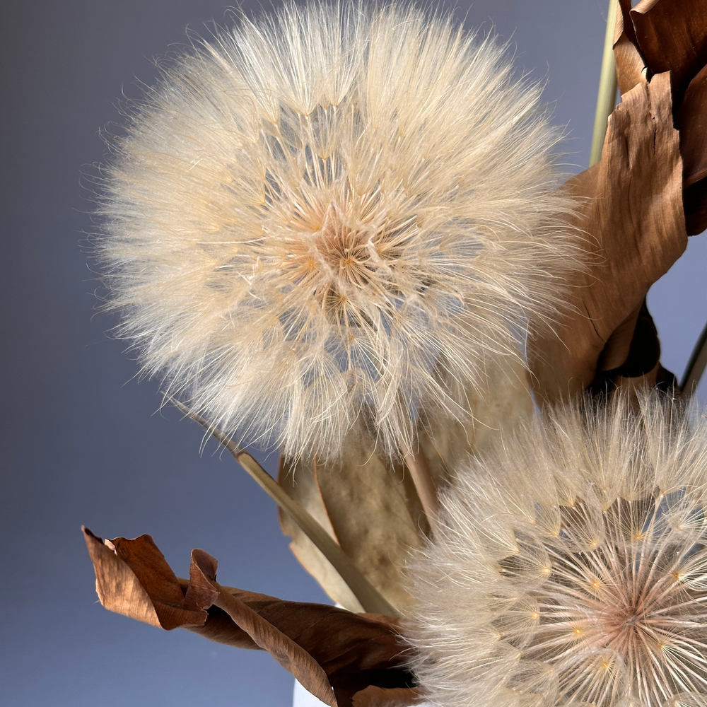 «Волшебные одуванчики» - композиция из стабилизированных цветов и сухоцветов