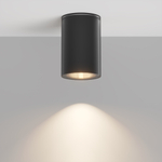 Уличный потолочный светильник Outdoor O307CL-01B