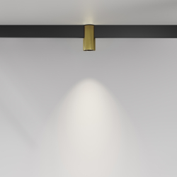 Трековый светильник Technical TR122-2-7W4K-BS