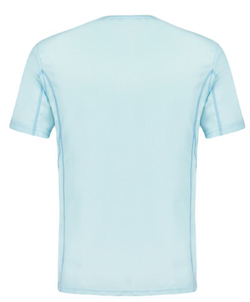 Мужская теннисная футболка Le Coq Sportif Tennis Autres Tournois Short Sleeves 25 - небесный