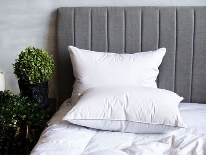 Подушка пуховая 50x68 German Grass Gray Familie Down мягкая