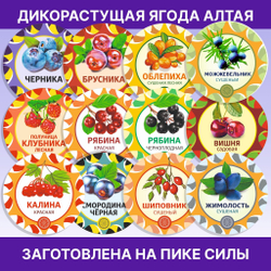 Лаванда цвет сушеный.