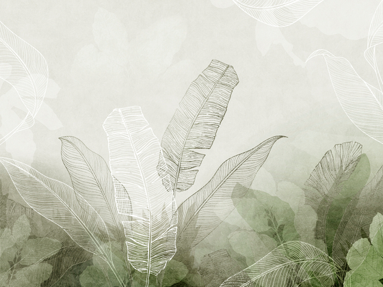 Коллекция AIR