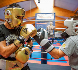 Перчатки боксерские AdiSpeed Metallic золото-серебристо-черные adiSBG501ProM