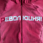 Зип-худи "Эволюция"