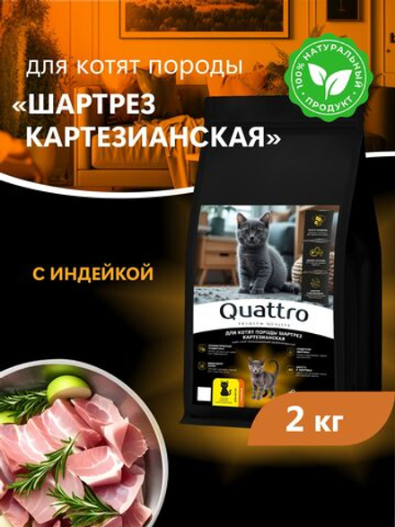 Корм сухой для котят породы Шартрез Картезианская, с индейкой, 2 кг, QUATTRO