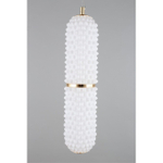 Подвесной светодиодный светильник Aployt Ozeynn APL.332.06.22