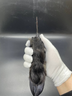 Обсидиановый нож с рукоятью копыта вепря 24 см