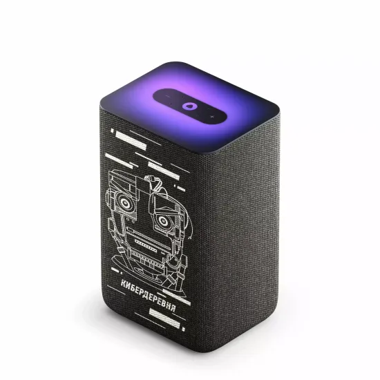 Умная колонка Яндекс Станция 2 Черный ( Кибердеревня)