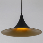Подвесной светильник Arte Lamp Carmel A7080SP-1BK