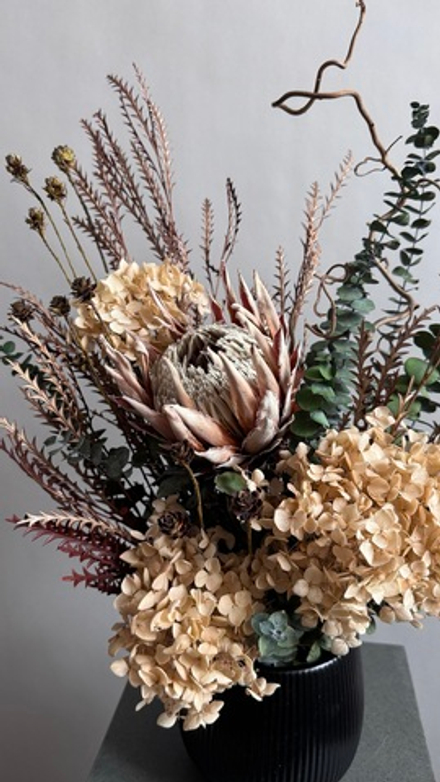 Композиция в кашпо Цинародиес