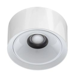 Citilux ROVER CL743060N LED Накладной светильник Белый