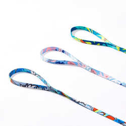 Шлейка для кошек с поводком PETKIT