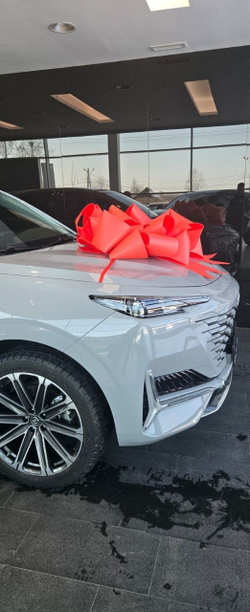 Бант на машину Аренда №2681