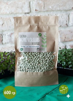 Семена горох зеленый Мадрас, микрозелень 5кг. Горох для проращивания