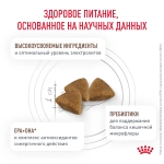 Корм для кошек Royal Canin Гастро-Интестинал GI 32 Feline при нарушении пищевар. и забол. печени, 2кг