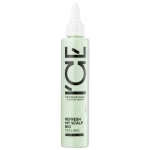 Пилинг "Детокс" для кожи головы NS ICE Professional REFRESH MY SCALP 100 мл