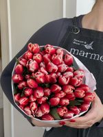 Тюльпаны классика - малиново-белый цвет