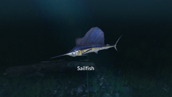 Ultimate Fishing Simulator - New Fish Species (для ПК, цифровой код доступа)
