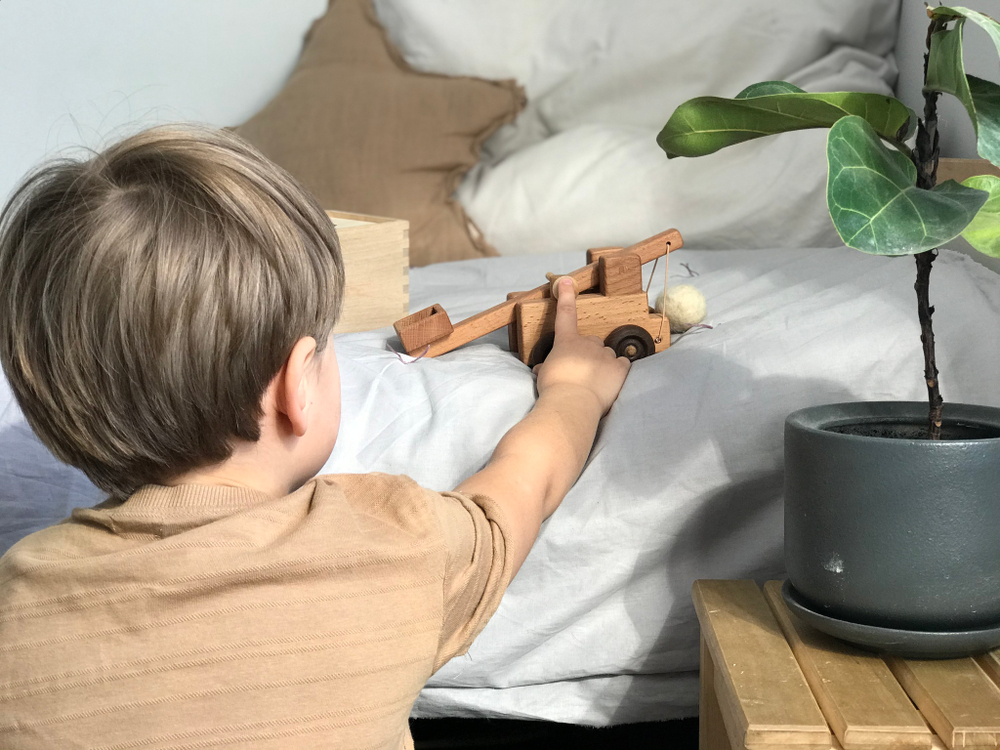 Машинка - катапульта Леснушки