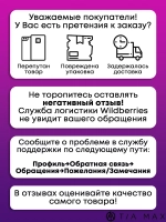 Чехол на iPhone 11 Pro Max