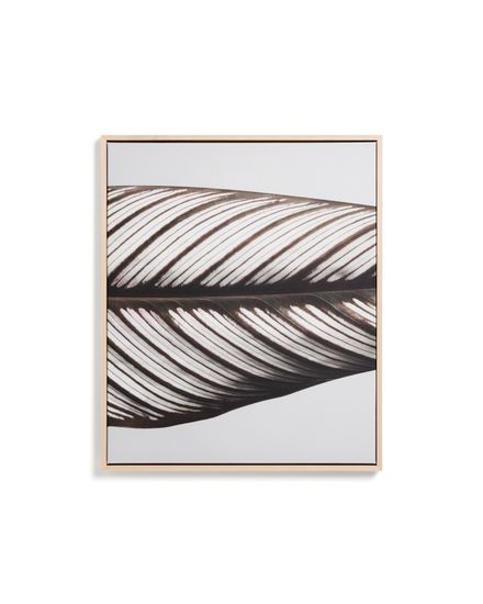 Фотография листа Foliae размер 52,5 x 62,5 см