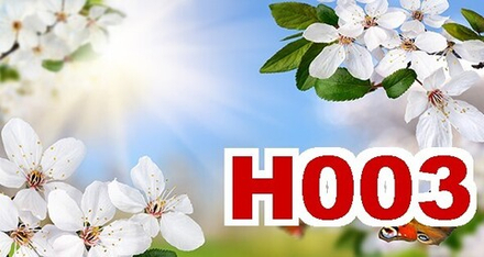 Фото обои - Небо H003