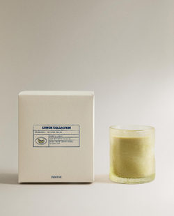 Zara Home Свеча ароматическая Vetiver Melon 310 г, растительный воск, аромат древесный, Коричневый