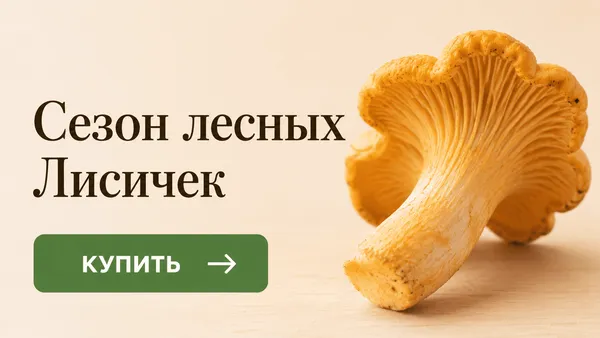 Слайдер Блок 99