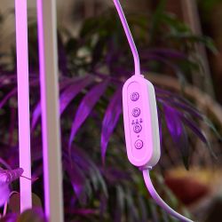 UST-E32 WHITE 2M Таймер с вилкой и разъемом L.N для фито светильника. 220В. 150Вт. Провод 2 метра. ТМ Uniel