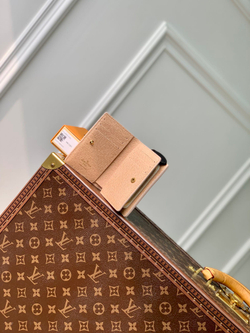 Louis Vuitton Clea Wallet