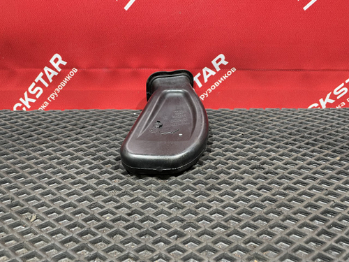 Пыльник двери