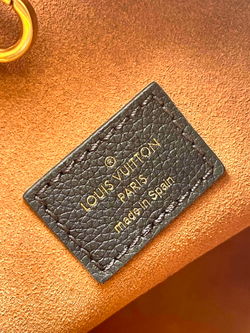 Louis Vuitton Low Key Hobo PM