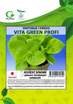 Колеус Блюме Джиант Эксибишен Лаймлайт (50шт) Витагрин Профи