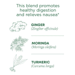 Traditional Medicinals, Organic Ginger Aid®, имбирь и лимонный мирт, без кофеина, 16 чайных пакетиков в упаковке, 32 г (1,13 унции)