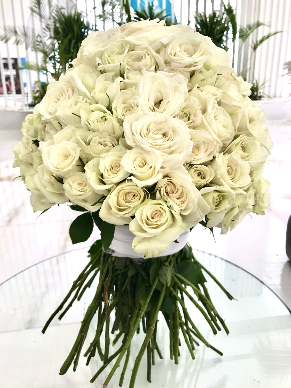 141 Белая Роза