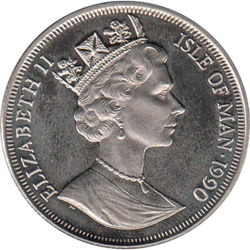 Уличная кошка