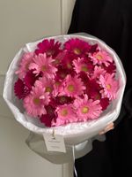 Букет из 25 минигербер розового оттенка